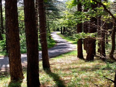 Apartment Apartment in Schoorl near Dunes - Environment photo 29