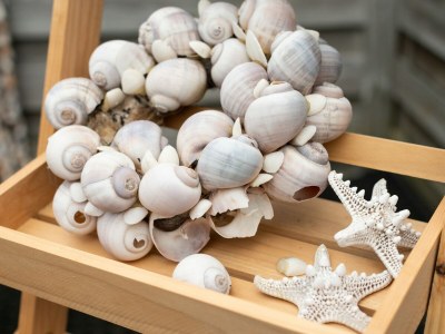 Apartment Apartment in Schoorl near Dunes - Outdoor photo 36