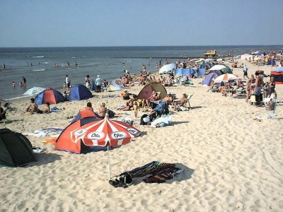 Bungalow Zeester 218 in Strandslag park - Environment photo 20