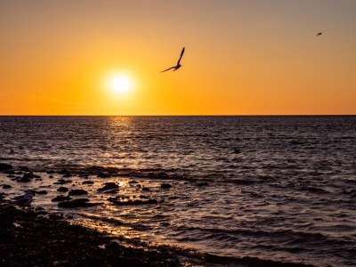 Bungalow Zeester 218 in Strandslag park - Environment photo 22