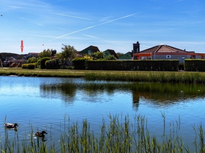 Bungalow Zeester 218 in Strandslag park - Environment photo 23
