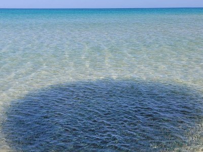 Apartment Alcazar - Environment photo 31