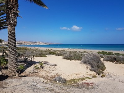 Apartment Alcazar - Environment photo 33