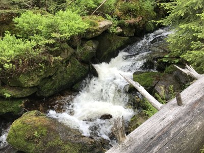 Holiday apartment Panoramablick - Environment photo 16