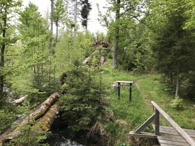 Holiday apartment Panoramablick - Environment photo 17