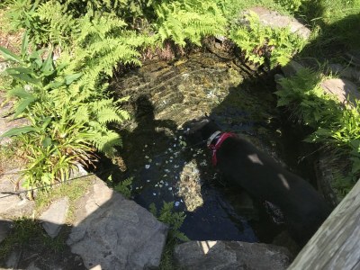 Holiday apartment Panoramablick - Environment photo 19