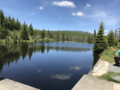 Holiday apartment Panoramablick - Environment photo 20