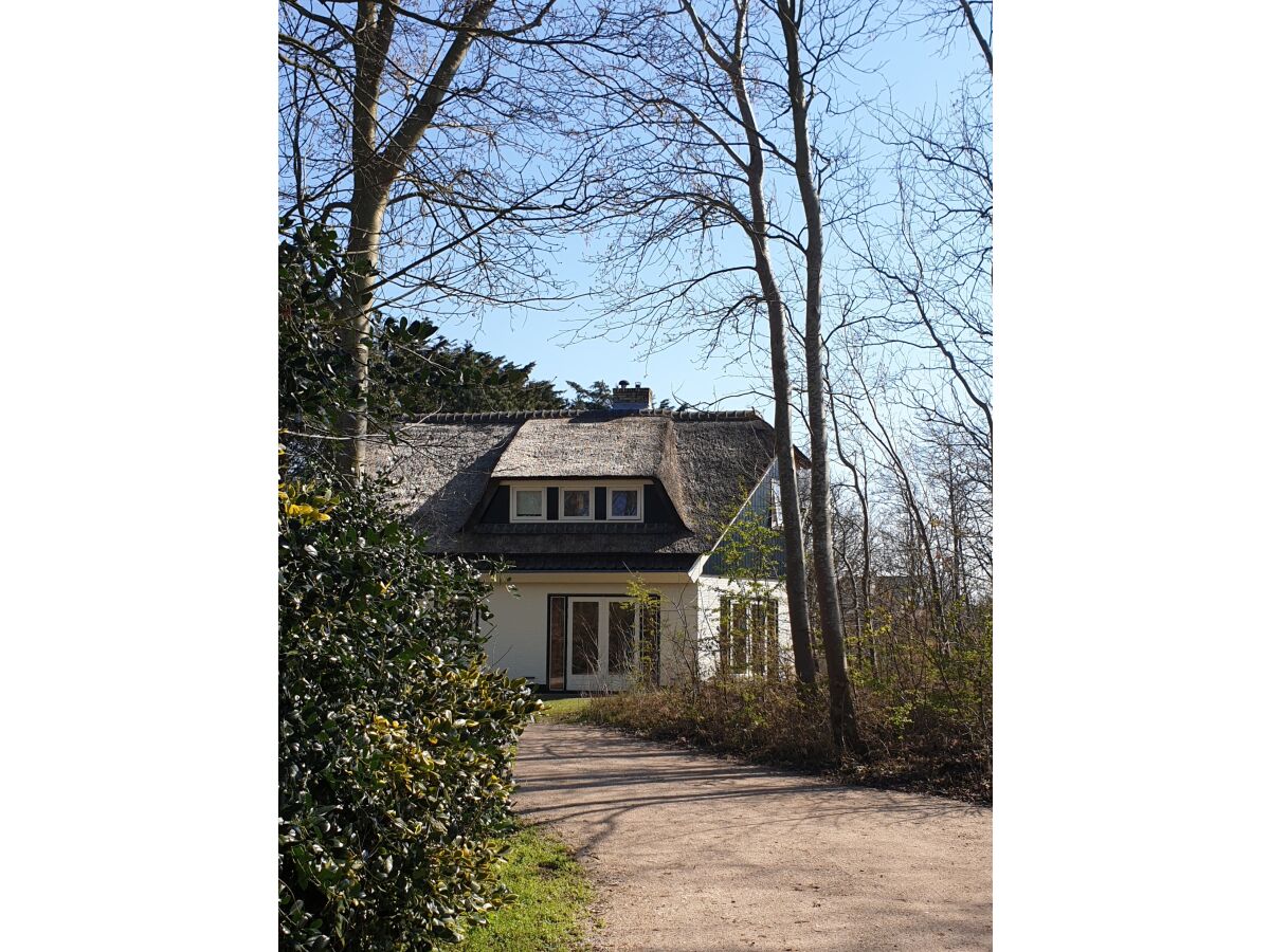 Holiday house De Bosuil - Outdoor photo 5