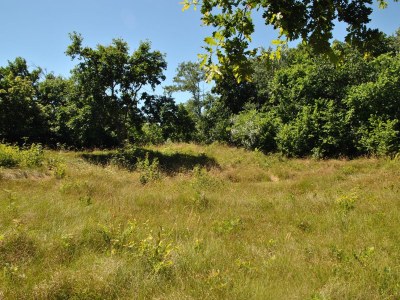 Holiday house De Bosuil - Environment photo 21