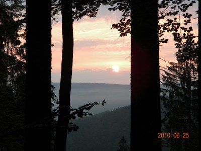 Holiday house Buchbachhäusle - Environment photo 18