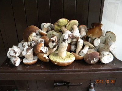 Holiday house Buchbachhäusle - Environment photo 20