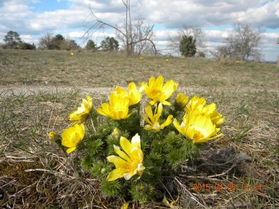 Holiday house Buchbachhäusle - Environment photo 23