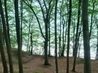 Dr. Susanne Keunecke