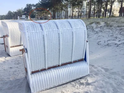 Holiday apartment Villa Vogue, Austernfischer - Outdoor photo 6