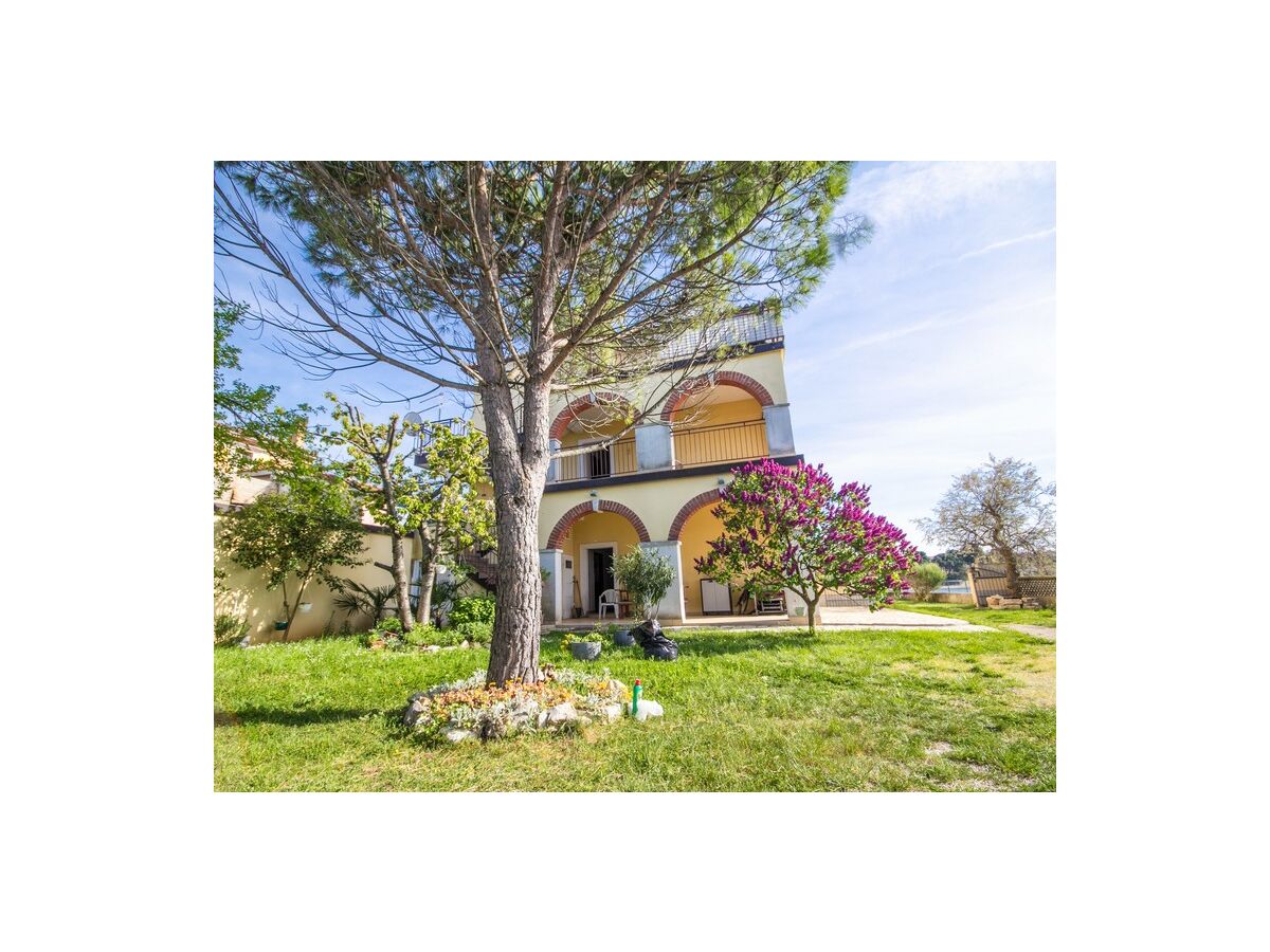 Holiday apartment Benjamin - Outdoor photo 2