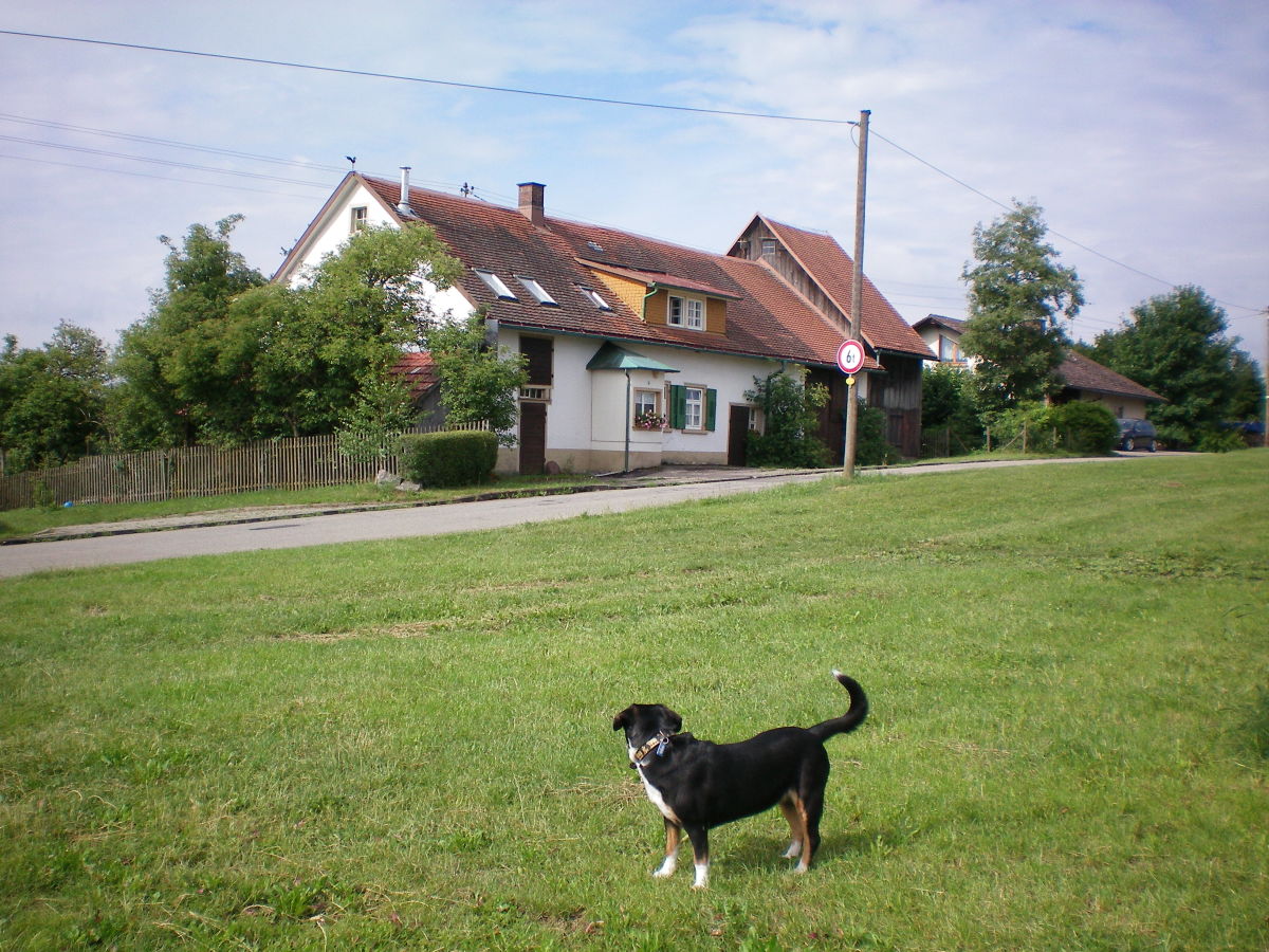 Holiday house Sunnehüsli - Outdoor photo 2