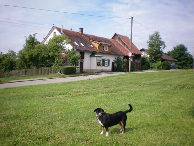 Holiday house Sunnehüsli - Outdoor photo 2