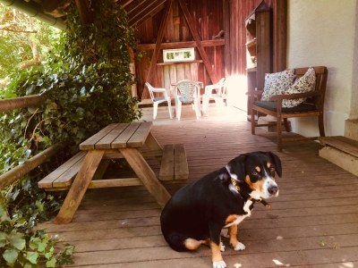 Holiday house Sunnehüsli - Outdoor photo 3