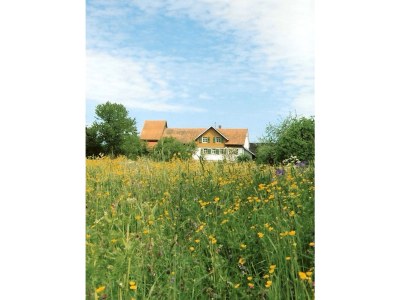 Holiday house Sunnehüsli - Environment photo 16