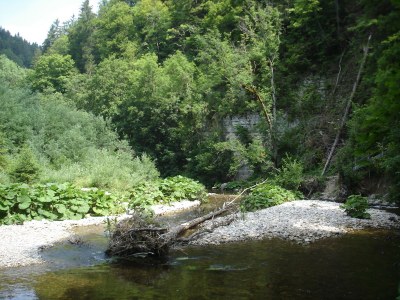 Holiday house Sunnehüsli - Environment photo 18