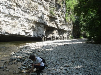 Holiday house Sunnehüsli - Environment photo 19
