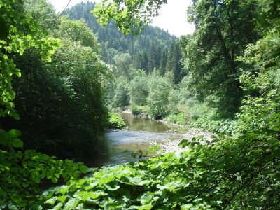 Holiday house Sunnehüsli - Environment photo 20