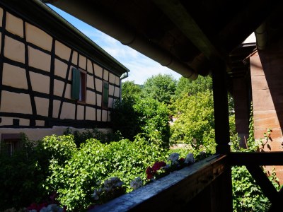 Holiday apartment L´ange bleu - Outdoor photo 3