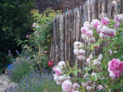 Holiday apartment L´ange bleu - Environment photo 16