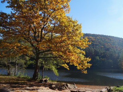 Holiday apartment L´ange bleu - Environment photo 19