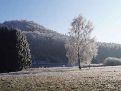Holiday apartment L´ange bleu - Environment photo 20