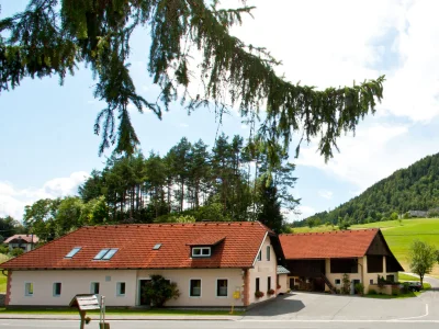 Holiday apartment am Turiawald - Schiefling - Features photo 14