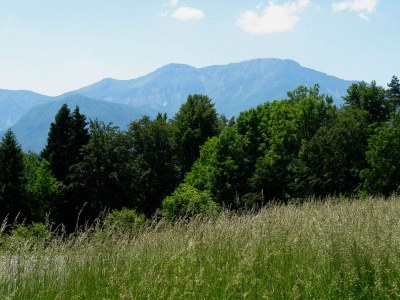 Holiday apartment am Turiawald - Schiefling - Features photo 15