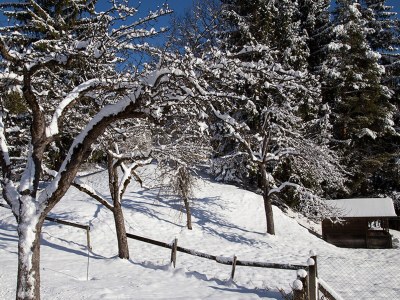 Holiday apartment am Turiawald - Schiefling - Features photo 18