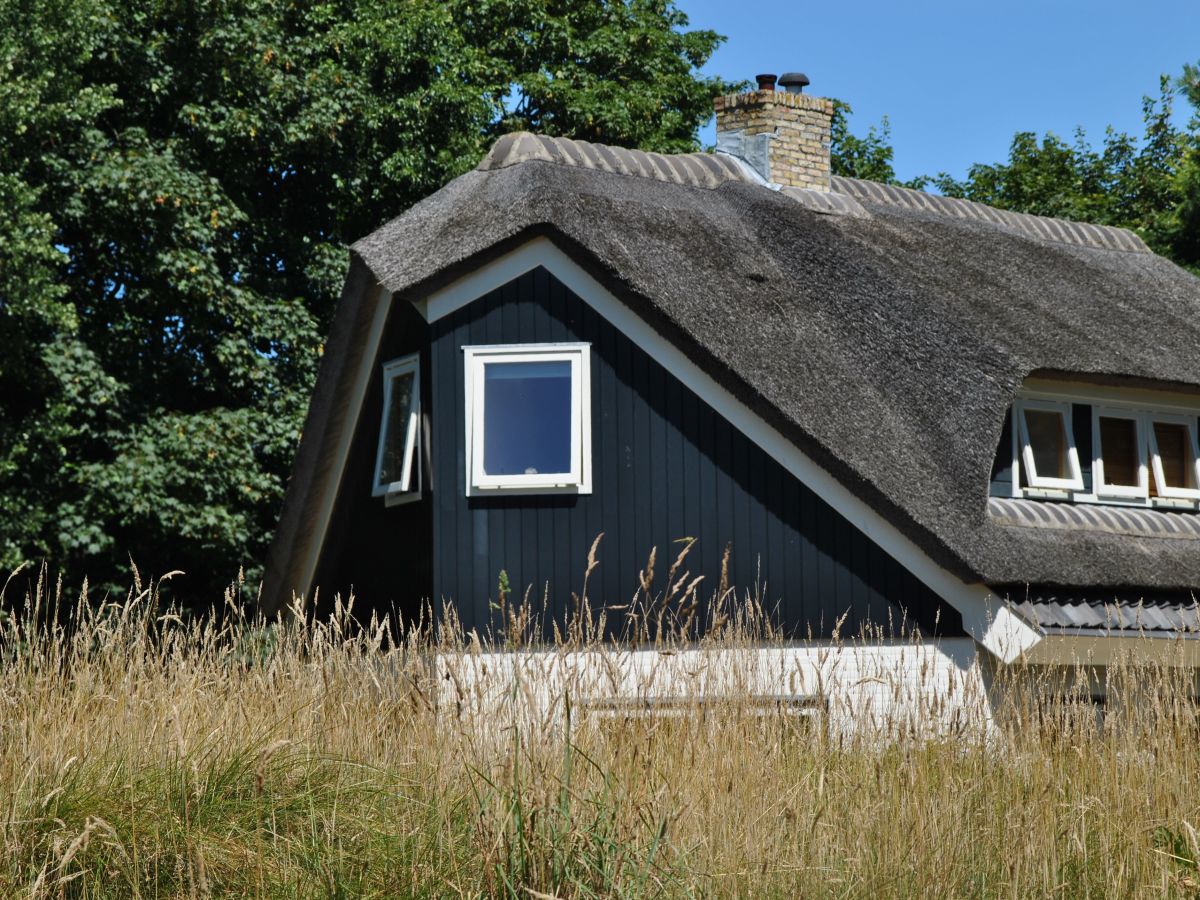 Holiday house De Velduil - Outdoor photo 3