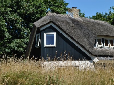 Holiday house De Velduil - Outdoor photo 3