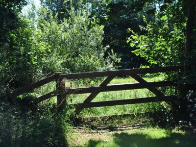 Holiday house De Velduil - Environment photo 22