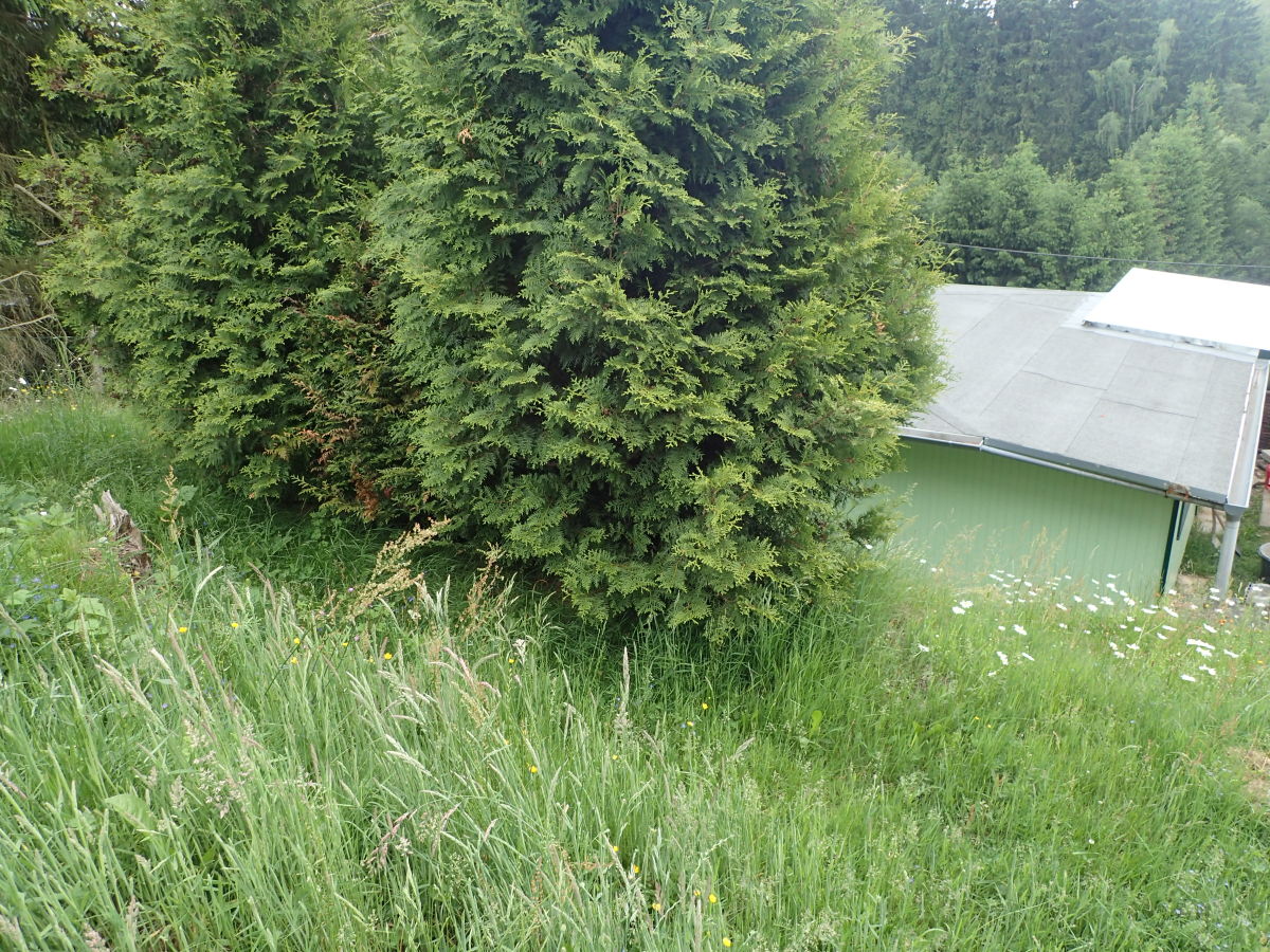 Holiday house Ferienhaus Monti - Outdoor photo 4