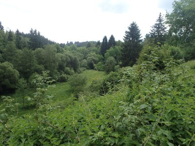 Holiday house Ferienhaus Monti - Environment photo 14