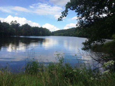 Holiday house Ferienhaus Monti - Environment photo 15