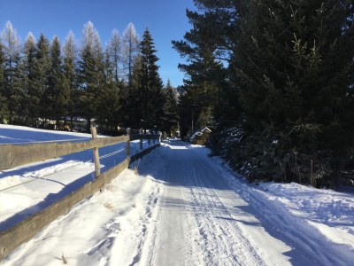 Holiday house Ferienhaus Monti - Environment photo 20