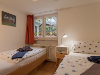 Holiday apartment Sonnenheim 95m² - Features photo 12