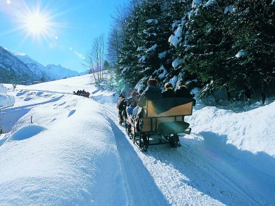 Holiday apartment Sonnenheim 95m² - Environment photo 17