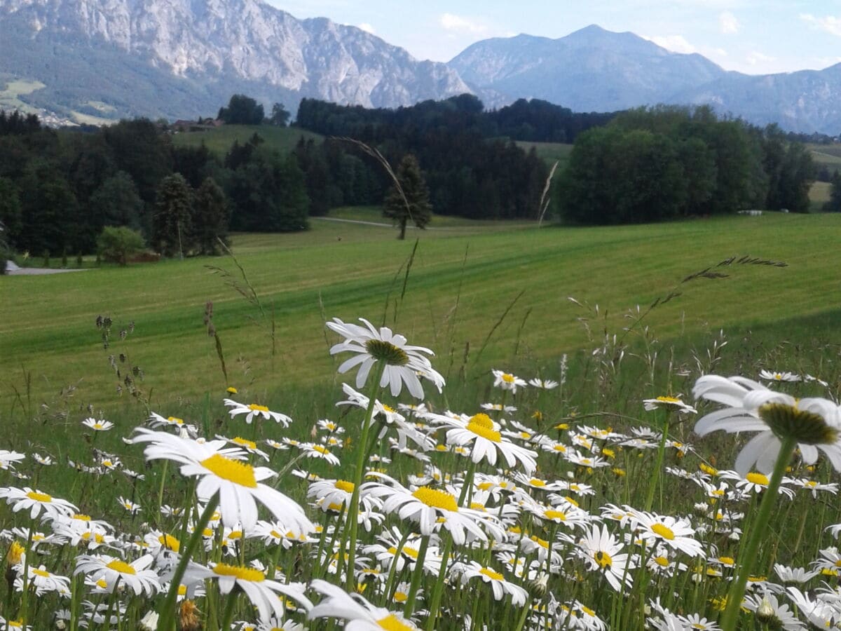 Holiday apartment Sperr - Outdoor photo 5