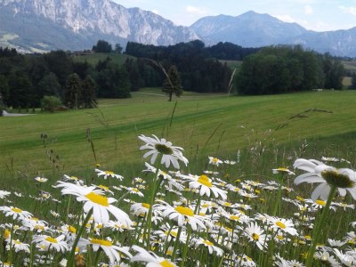 Holiday apartment Sperr - Outdoor photo 5