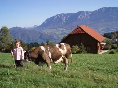 Holiday apartment Sperr - Environment photo 16