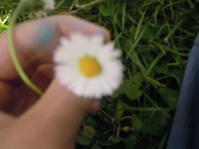 Holiday apartment Sperr - Environment photo 17