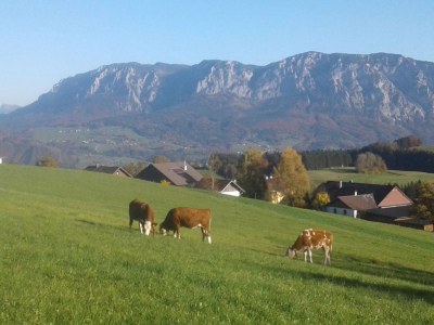 Holiday apartment Sperr - Environment photo 21