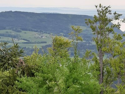 Holiday apartment Sperr - Environment photo 25