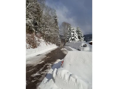 Holiday house House Tannenblick - Outdoor photo 9