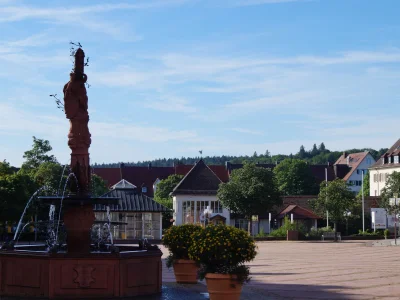 Holiday house House Tannenblick - Environment photo 20